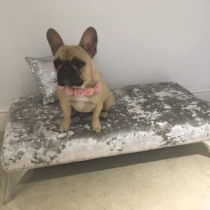 May include: A French bulldog wearing a pink flower collar sits on a gray velvet dog bed with silver accents.