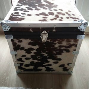 May include: A brown and white cowhide storage trunk with silver metal accents and a silver latch.