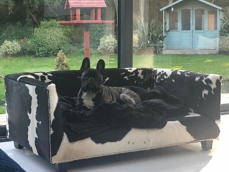 Extra Large Genuine Cowhide Covered Dog Bed With 4 Etsy