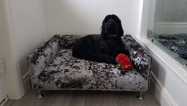 May include: A black dog laying on a gray and black velvet dog bed with a red toy. The bed has silver legs and a tufted design.