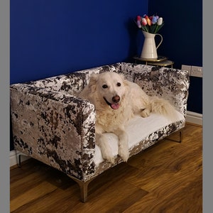 May include: A white dog laying on a gray and white velvet dog bed with silver legs. The dog bed is on a wooden floor. The background is a blue wall with a white pitcher and colorful flowers.