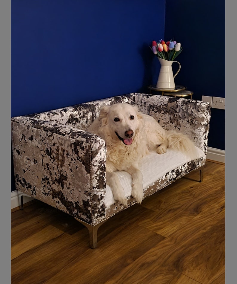 May include: A white dog laying on a gray and white velvet dog bed with silver legs. The dog bed is on a wooden floor. The background is a blue wall with a white pitcher and colorful flowers.