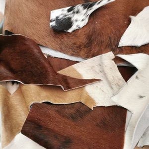 May include: A collection of assorted cowhide leather scraps featuring various natural patterns and textures. The pieces display a mix of solid brown, tan, white, and black-and-white spotted fur, with visible raw edges and irregular shapes.