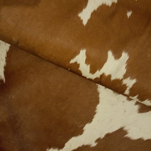 May include: Close-up of brown and white cowhide with a natural, textured surface.