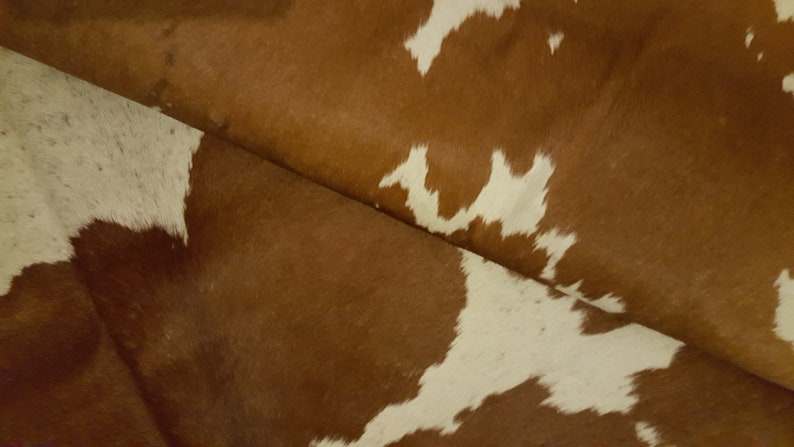 May include: Close-up of brown and white cowhide with a natural, textured surface.