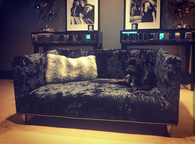 May include: A dark blue velvet dog bed with a white faux fur pillow. A small black and brown dog is lying on the bed.