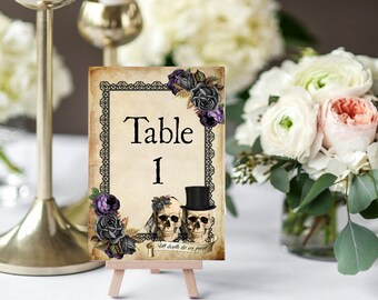 Gothic Wedding Reception Cards Venue Decoration Skull Wedding