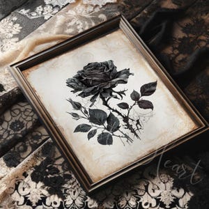 May include: A framed wall art print featuring a detailed black and white illustration of a single rose with leaves and thorns on a vintage-style, cream-colored background with subtle swirling patterns and a dark brown wooden frame.