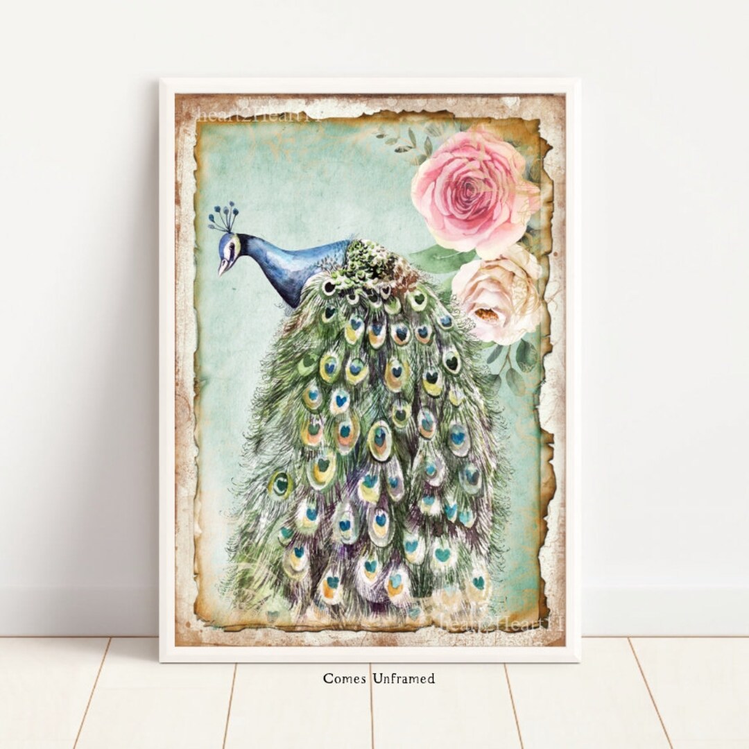 Vintage Peacock Wall Art UNFRAMED Print Tropical Bird Feather Etsy