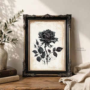May include: A rectangular wall art print featuring a detailed black and white illustration of a blooming rose with leaves and a bud. The artwork is set against a light, textured background and is enclosed in an ornate, dark-toned frame.