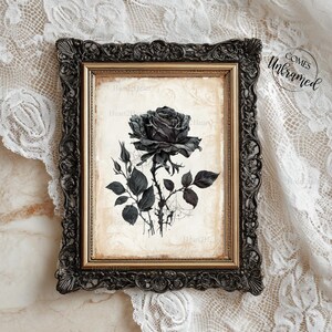 May include: A rectangular wall art piece featuring a black and white illustration of a rose with leaves and thorns, set against a cream-colored background. The artwork is encased in an ornate, dark bronze-colored frame with intricate detailing.