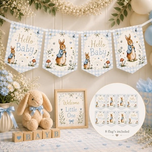 Peter Rabbit Hello Baby Bunting, Blue Gingham Baby Shower Banner