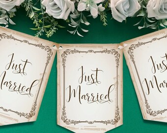 Silver Just Married Personalised Wedding Bunting Banner - Reception Venue Decor