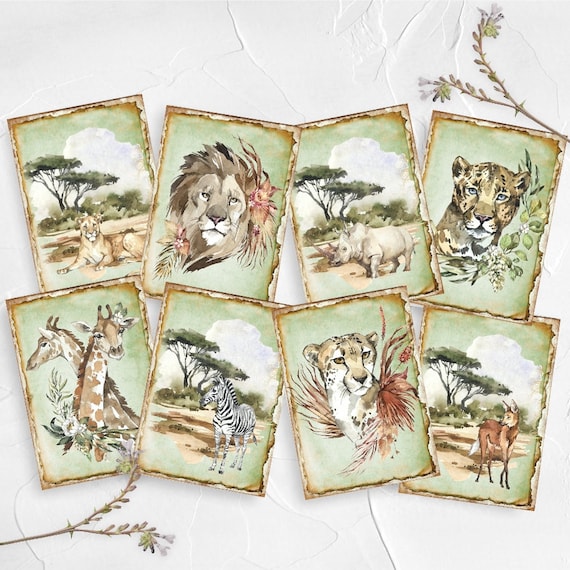 safari remembered cards