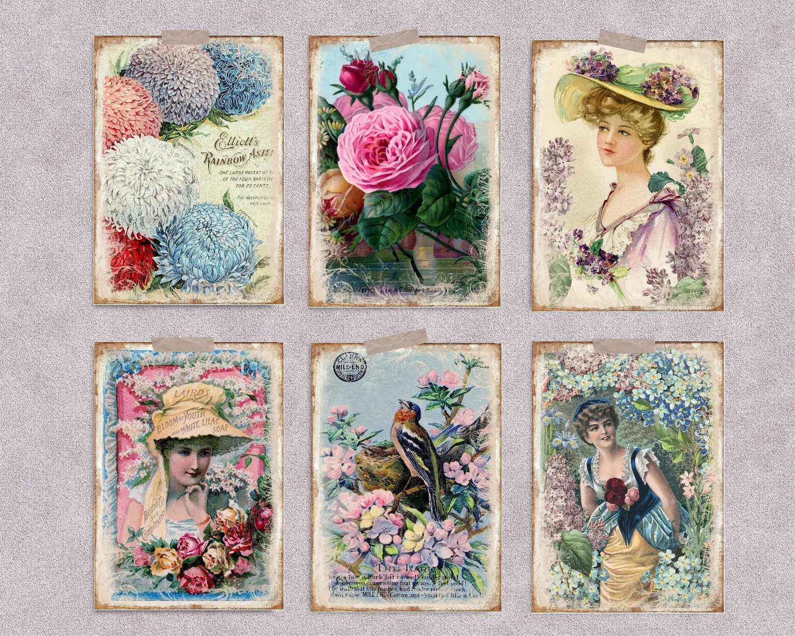 Shabby Chic Victorian Style Prints Wall Art Etsy UK