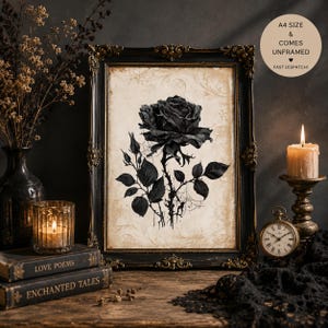 Black Rose Print | Gothic Wall Art | Floral Goth Print image 1