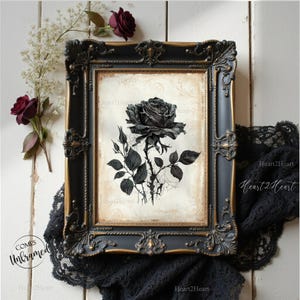 Black Rose Print | Gothic Wall Art | Floral Goth Print image 4