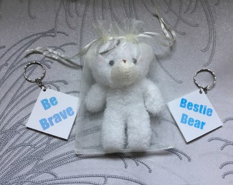 Bestie Bear/Be Brave In A Bag