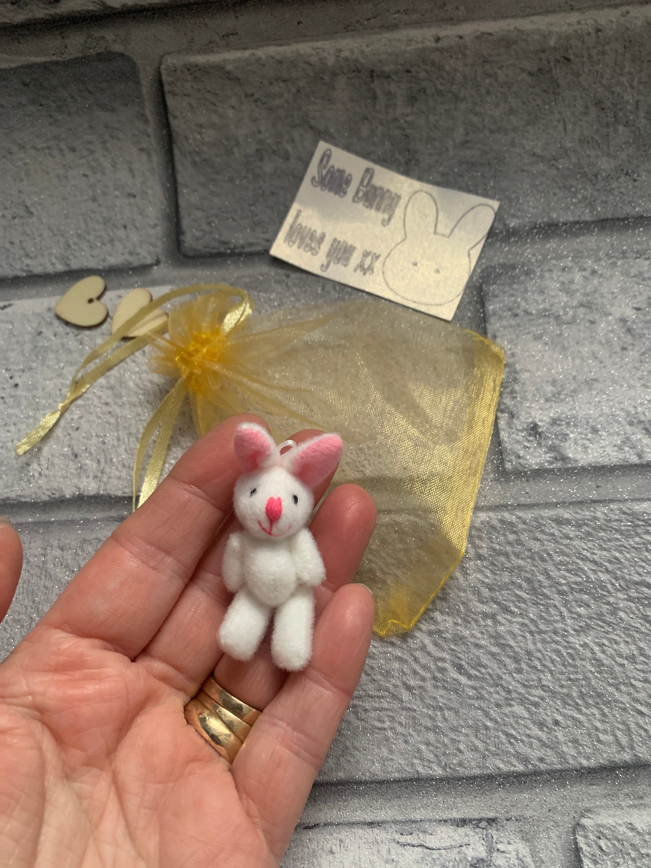 Mini Bunny in A Bag Etsy