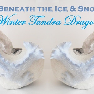 May include: A pair of white high-heeled shoes with a dragon design. The shoes are decorated with blue accents and have a textured surface. The text "Beneath the Ice & Snow Winter Tundra Dragon" is written above the shoes.