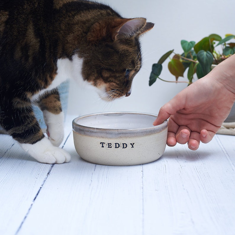 Pet Bowls in Small, Medium & Large Grey Glaze image 6