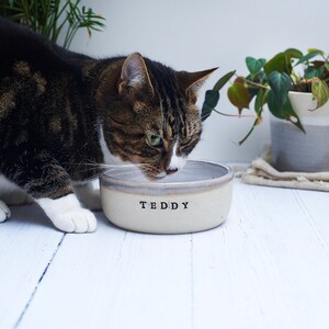 Pet Bowls in Small, Medium & Large Grey Glaze image 5