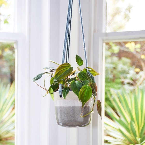 Hanging Planter Etsy UK
