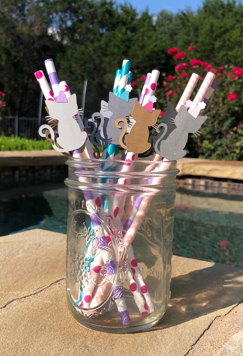 May include: A glass jar filled with colorful striped paper straws with cat-shaped paper cutouts attached to the tops. The straws are pink, purple, teal, and white with pink polka dots. The cat cutouts are gray, brown, and white.