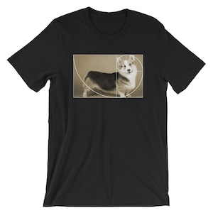 Golden Ratio Corgi T-Shirt | Fibonacci Spiral | Funny Math Tee | Math Symbol Shirt | Math Parade Costume | Math Lover Unisex Shirt