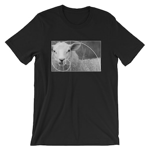 Golden Ratio Sheep T-Shirt | Sheep | Fibonacci Spiral | Math Lover Unisex Shirt | Funny Math Symbol | Math Parade Costume