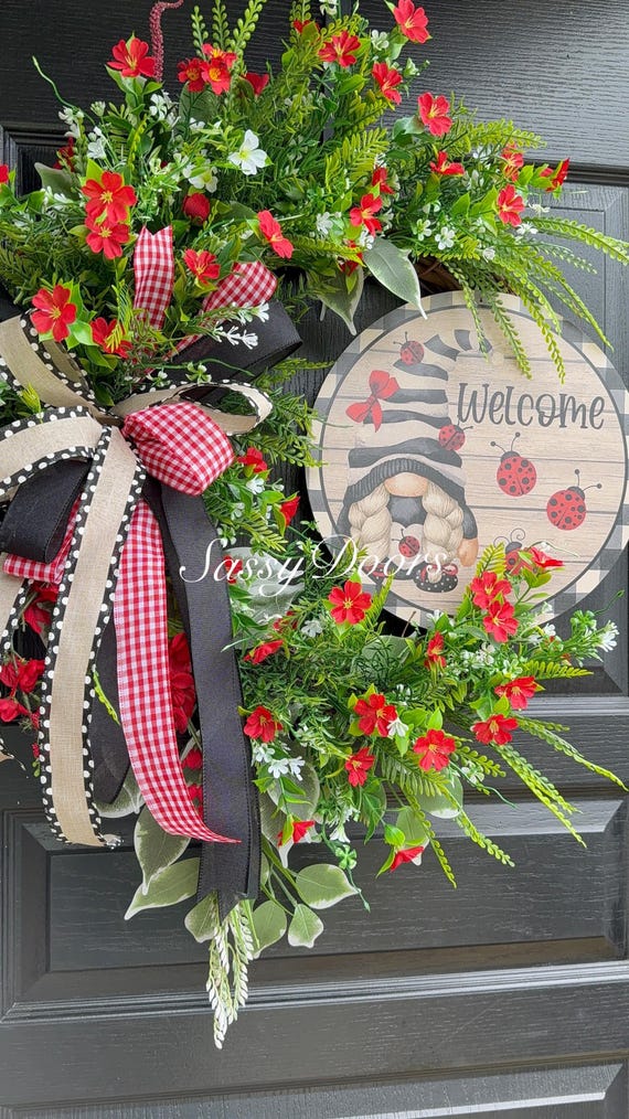 Ladybug Wreath , Farmhouse Decor, Summer Wreath, Red  Wreath, Sassy Doors Wreath, Grapevine Wreath, Front Door Wreath, Welcome Wreath