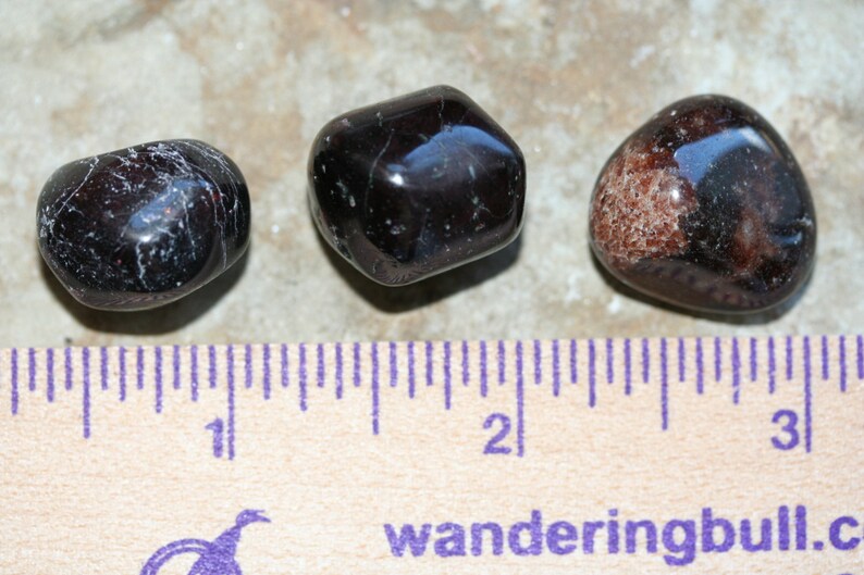 Specimens L164 Tumbled Red Palm Etsy