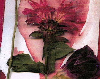 Collage, pressed flower card with bee balm, clover and rose petal, heart watercolor, print from original