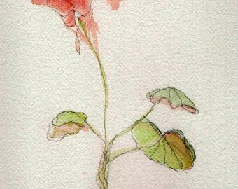 watercolor, geranium, leaf, card, blank card, print from original