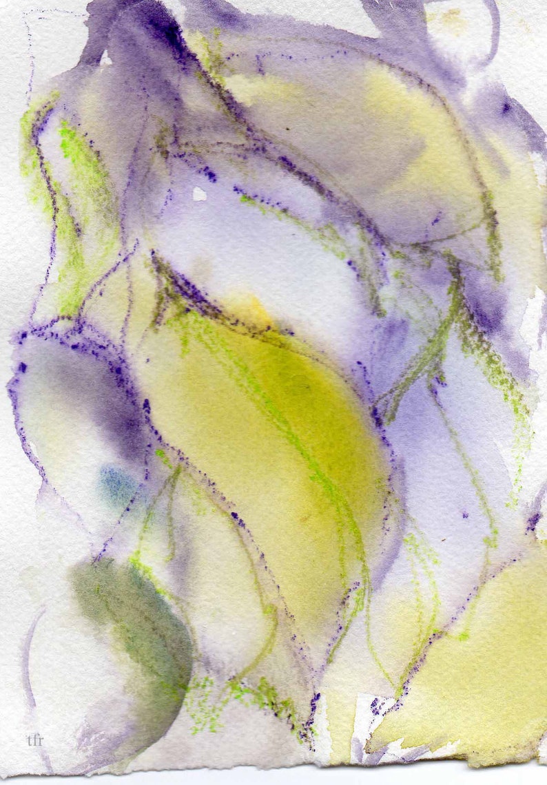 Coleus4 print from original watercolor