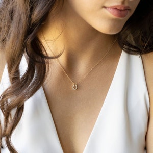 Horseshoe Necklace • Horseshoe Charm • Cluster Necklace • Horse Jewelry, Horse Shoe, Diamond Necklace Best Friend Necklace, Christmas Gifts