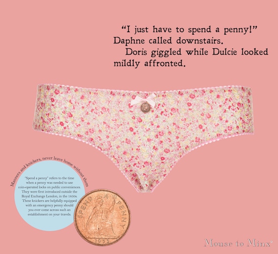 Knickers, Panties, Floral, Pink, Retro, Cotton, Cute, Kawaii, Vintage,  British, Wit, English, spend-a-penny 