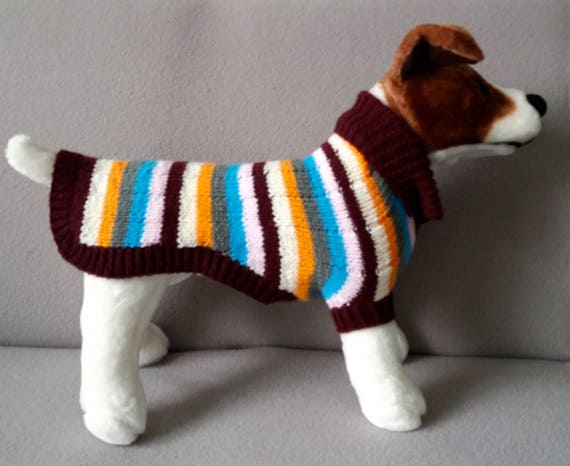 dogs woolly jumpers
