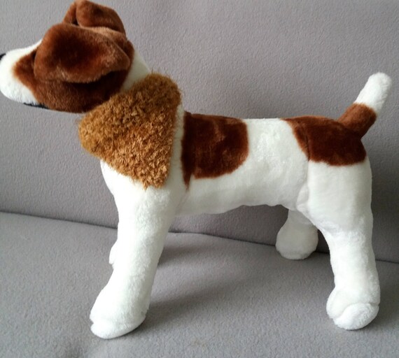 fluffy teddy dog