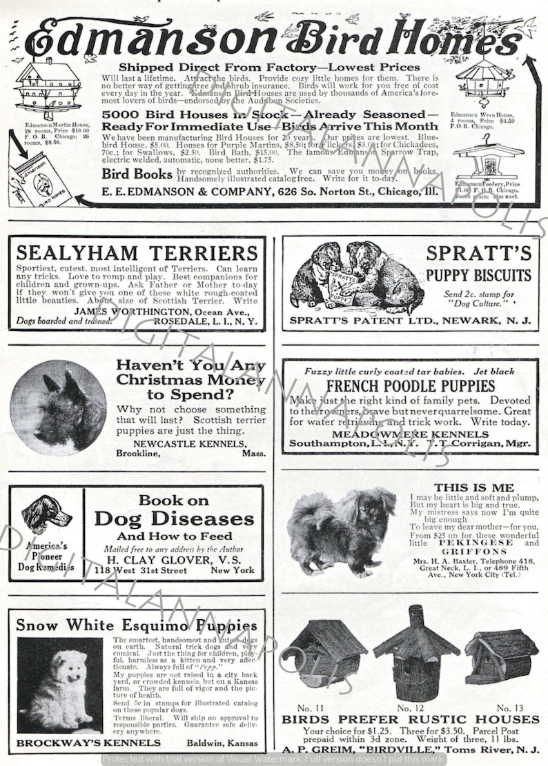 Vintage Pet Classified Advertising Bird House Dog Cat Puppy Etsy