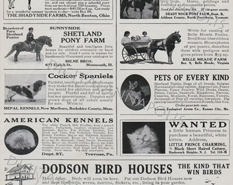 Vintage Pet Department Advertising Classified Pets for Kids Pony Cat Dog Image 300 dpi jpg Digital Download Printable Clip Art 19th Century