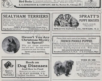 Vintage Pet Classified Advertising Bird House Dog Cat Puppy Christmas  Image 300 dpi jpg Digital Download Printable Clip Art 19th Century