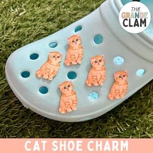 ONE Orange Cat Shoe Charm // Handmade // Unique // Pet // Animal // Kitty // Kitten
