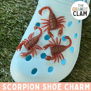 ONE Scorpion Shoe Charm // Handmade // Unique // Desert // Insect