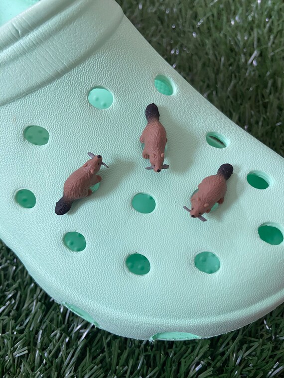 Beaver crocs new arrivals