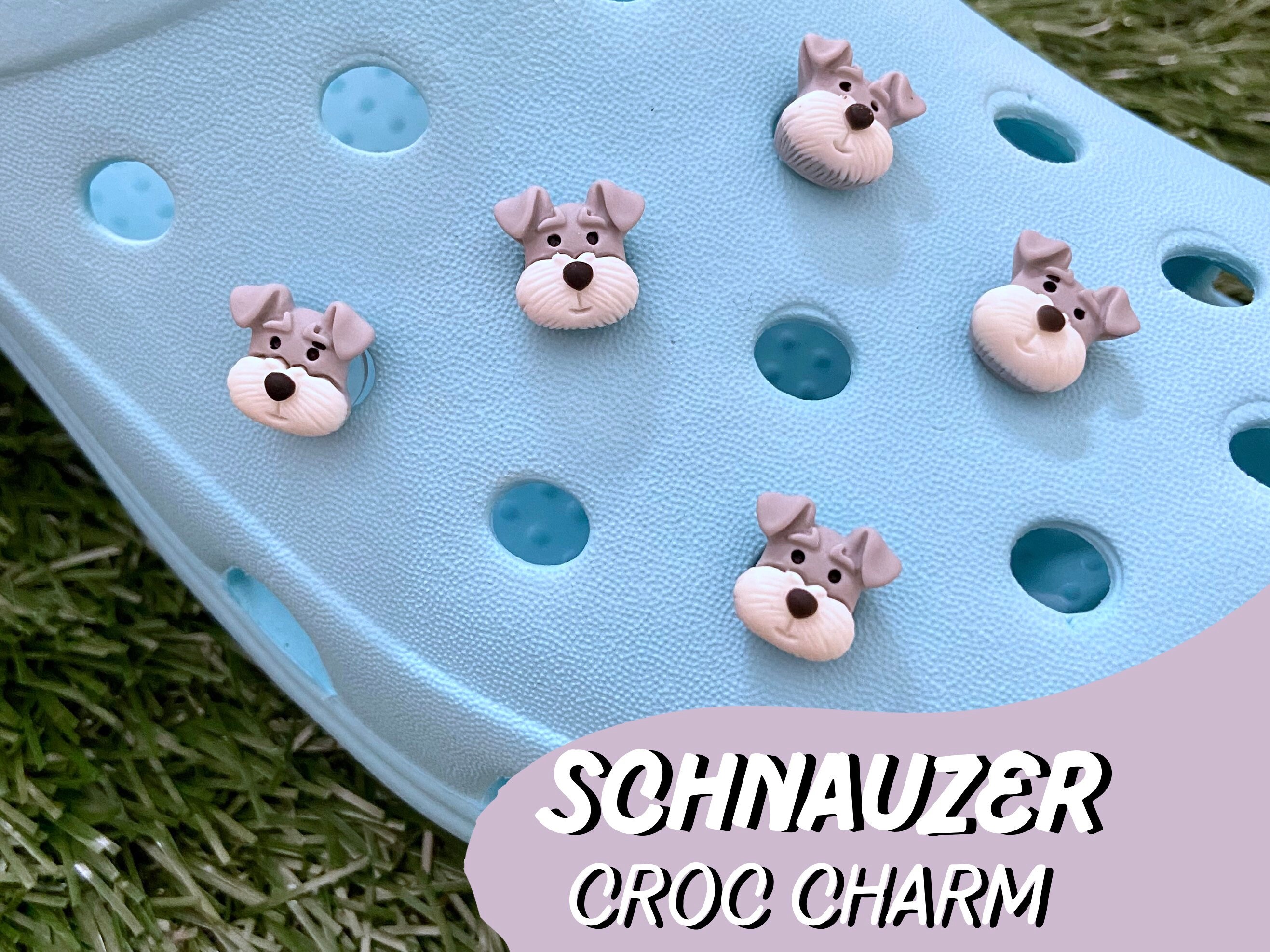 best 10 gallon tank for betta