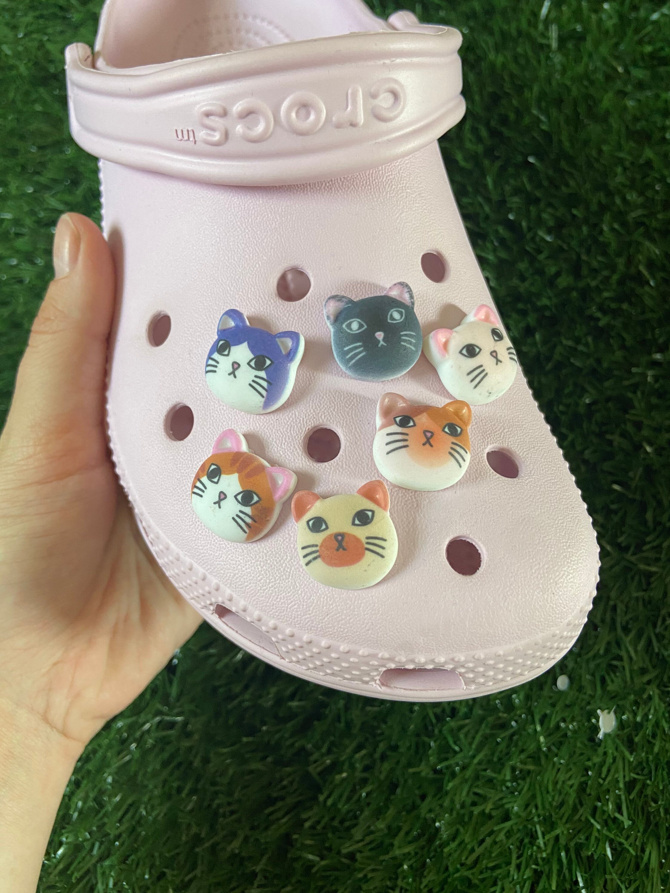cat crocs
