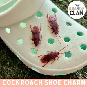 May include: Three realistic-looking brown cockroach shoe charms on a white shoe with green holes. The shoe is on a green grassy surface. The text "The Grande Clam" is in a white circle on the shoe.