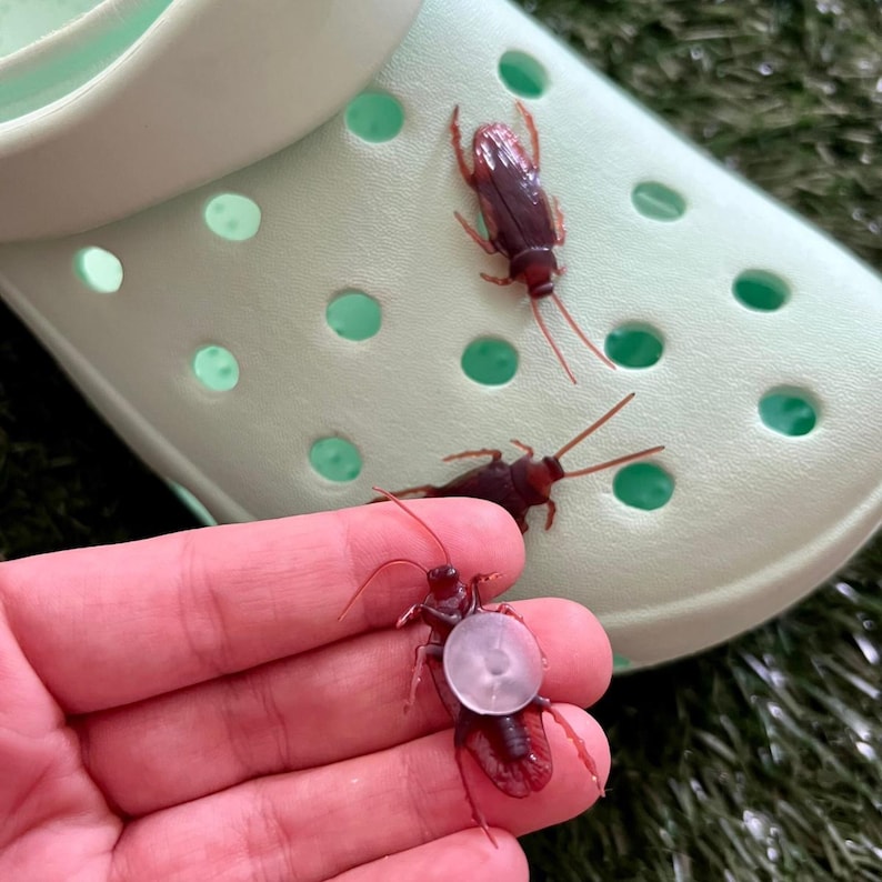 May include: Three realistic-looking brown cockroaches on a light green background. One cockroach is on a hand, and two are on a pair of light green sandals.