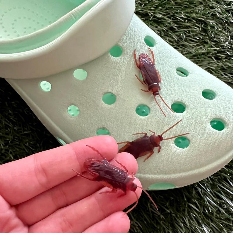 May include: Three realistic-looking brown cockroaches on a light green pair of sandals. One cockroach is being held in a hand.
